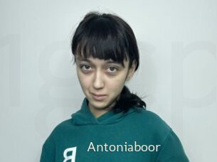 Antoniaboor