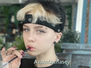 Antoniachasey
