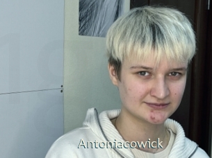 Antoniacowick