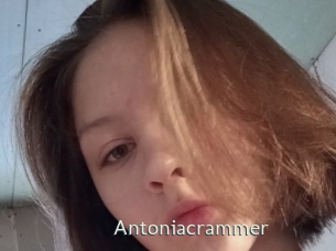 Antoniacrammer