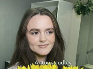 Antoniadudley