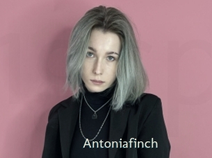 Antoniafinch
