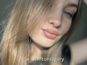 Antoniagary