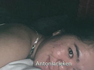 Antoniarieken
