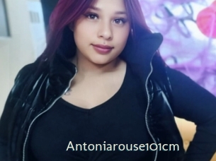 Antoniarouse101cm