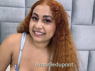 Antoniedupont