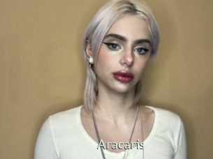 Aracaris