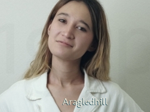 Aragledhill