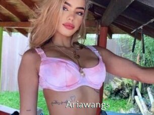 Ariawangs
