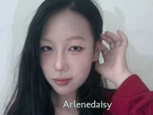 Arlenedaisy