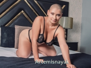 Artemisnayak