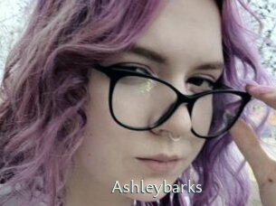 Ashleybarks
