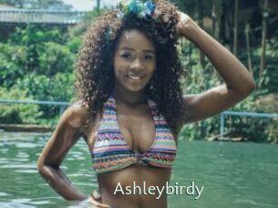 Ashleybirdy