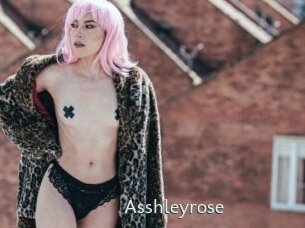 Asshleyrose