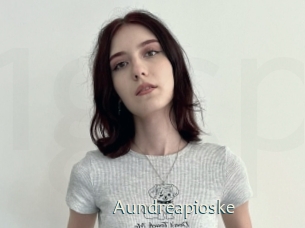Aundreapioske