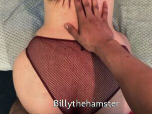 Billythehamster