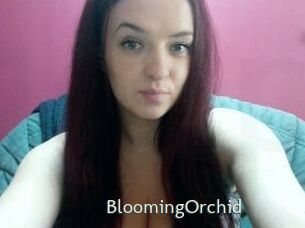 BloomingOrchid