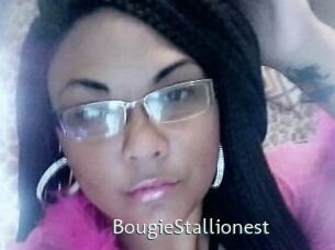BougieStallionest