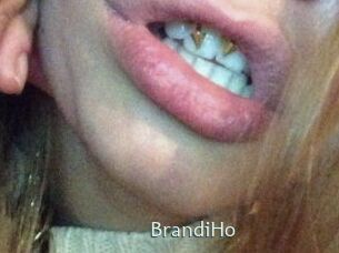BrandiHo