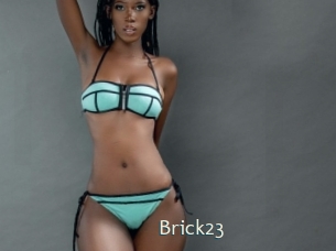 Brick23