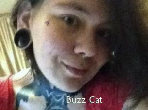 Buzz_Cat
