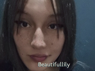 Beautifullily