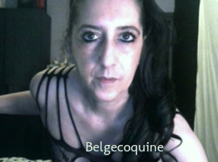 Belgecoquine