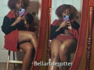 Bellarosepotter