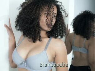Biancacelia