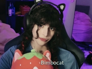 Bimbocat