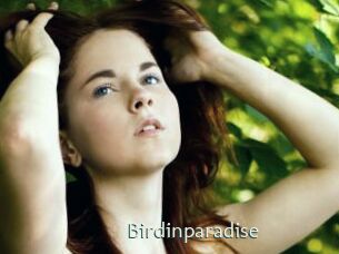 Birdinparadise