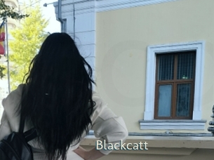 blackcatt 1 grosse chatte poilue