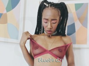 Bluebird21
