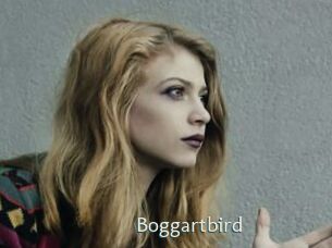 Boggartbird