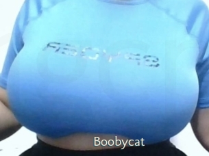 Boobycat