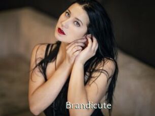 Brandicute