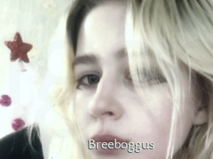 Breeboggus