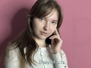 Breebrach