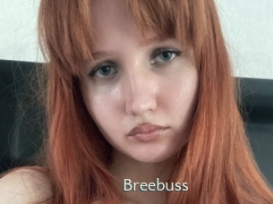 Breebuss