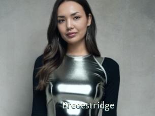 breeestridge 1 grosse chatte poilue