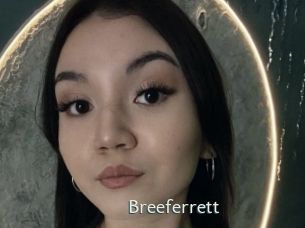 Breeferrett