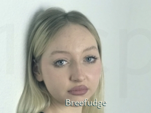 Breefudge