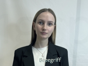 Breegriff