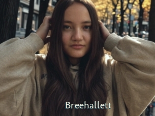 Breehallett