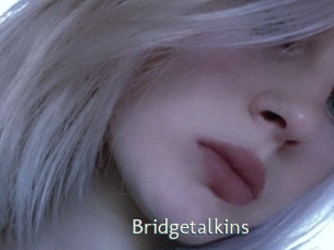 Bridgetalkins
