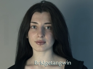 Bridgetangwin