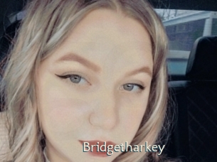 Bridgetharkey