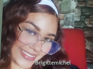 brigittemichel 1 grosse chatte poilue