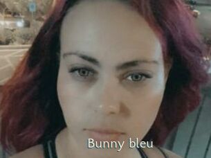 Bunny_bleu