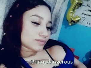 Bunnydangerous